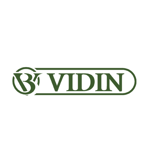 Vidin