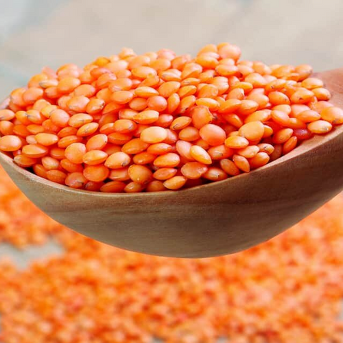 Green lentil