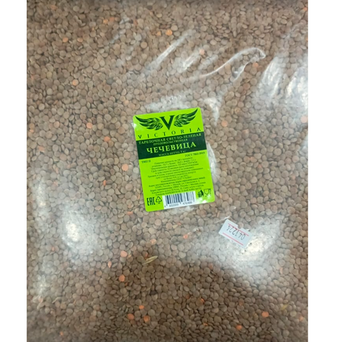 Green lentil
