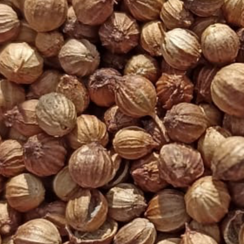 CORIANDER