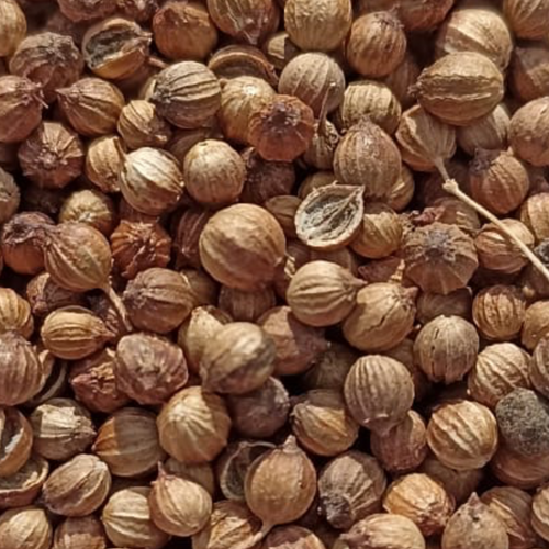CORIANDER