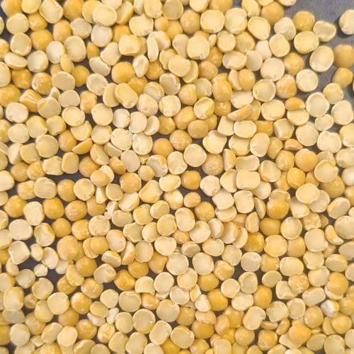 YELLOW PEAS