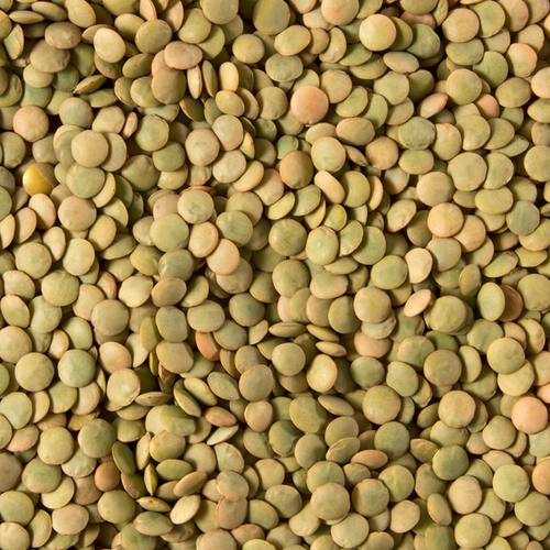 Lentils