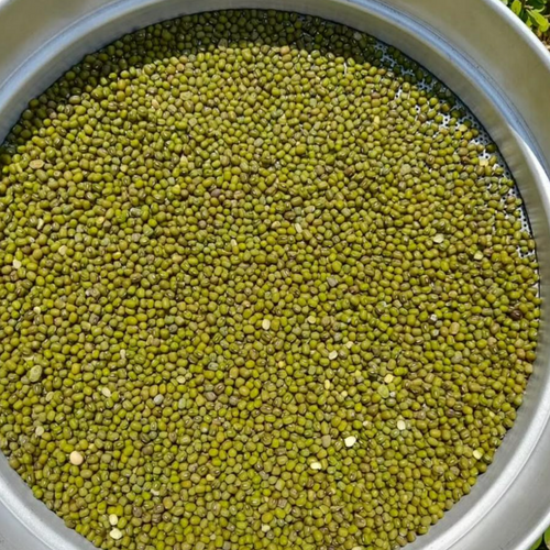 GREEN MUNG BEANS