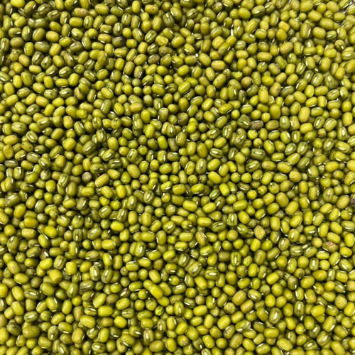GREEN MUNG BEANS
