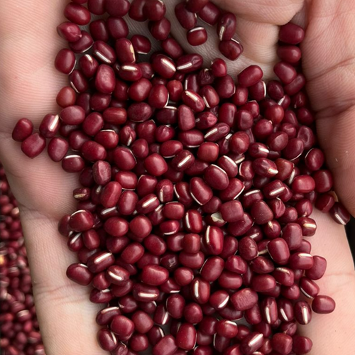 RED BAMBOO BEANS