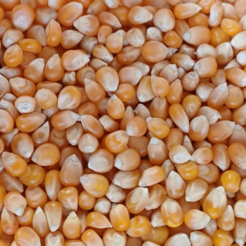 POPCORN
