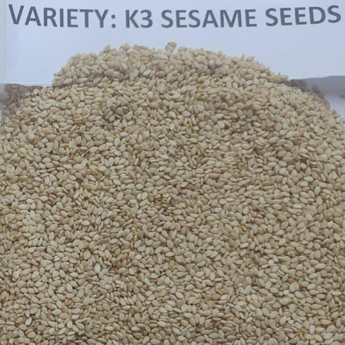 SESAME SEEDS