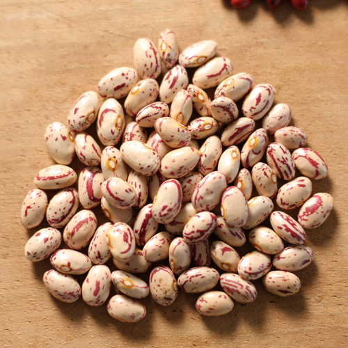 Light Speckled Kidney Beans