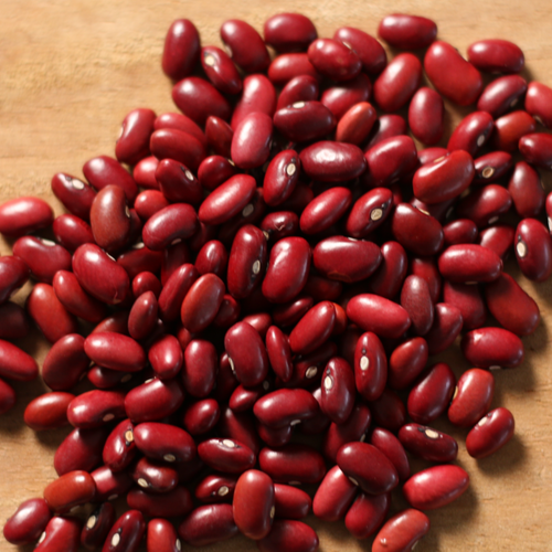 Dark Read Kidney Beans