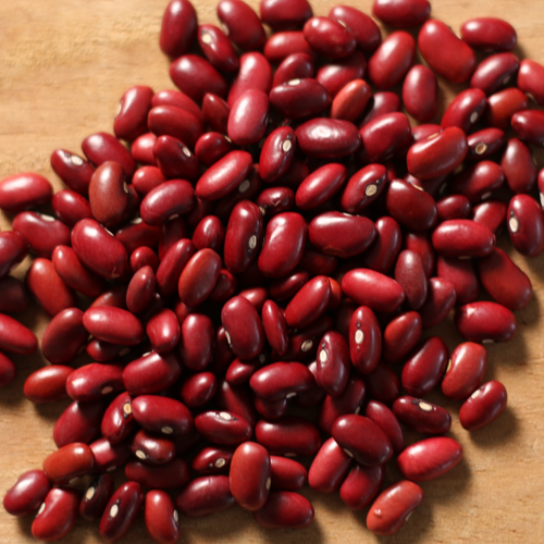 Dark Read Kidney Beans