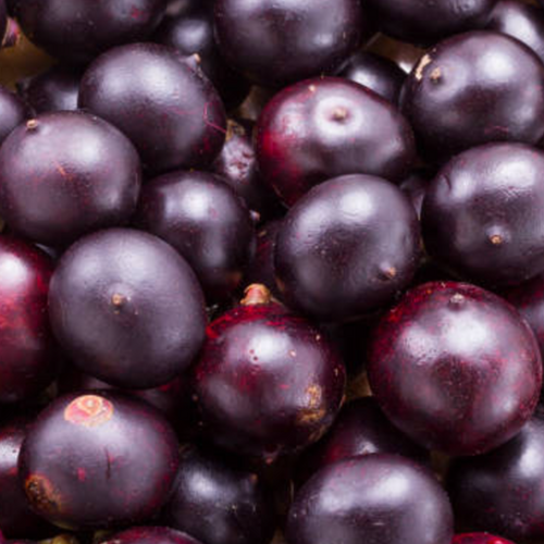 Açai - Dry Extract & Juice Powder