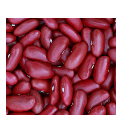 DARK RED KIDNEY BEANS