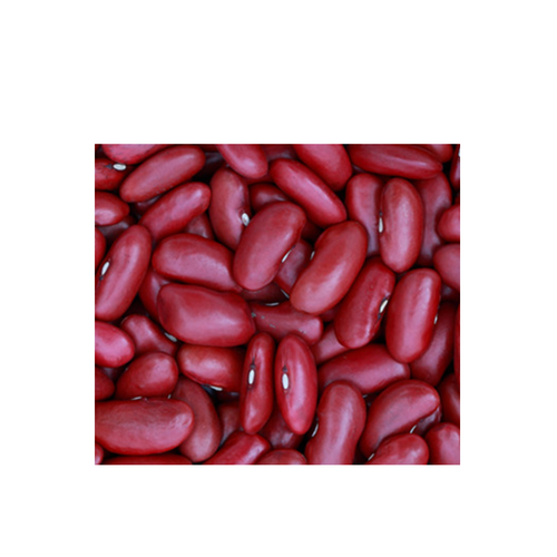 DARK RED KIDNEY BEANS
