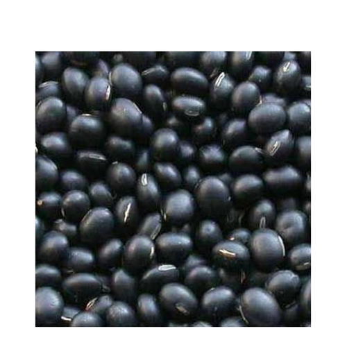 BLACK MAPTE