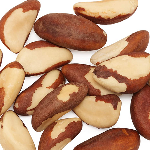 BRAZILIAN NUTS