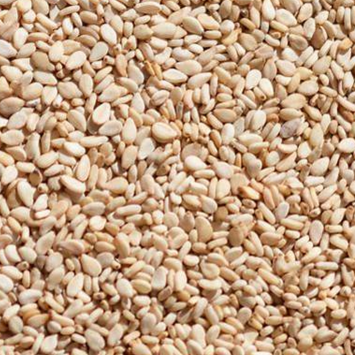 SESAME SEEDS