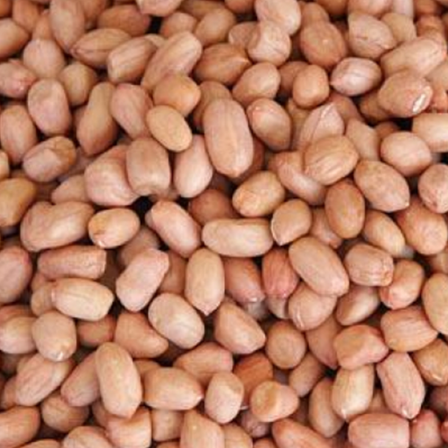 PEANUTS HALAL