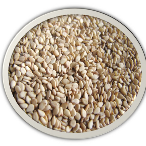 SESAME SEEDS