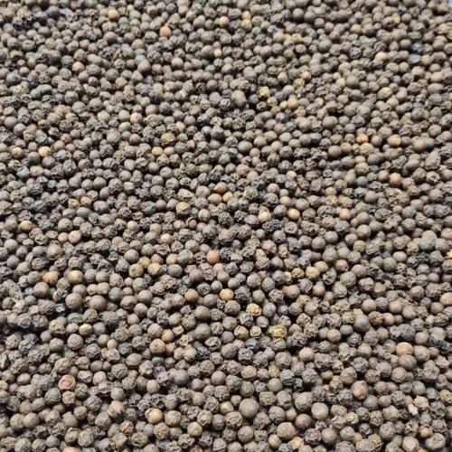 Brazilian Black Pepper Asta 580G/L.