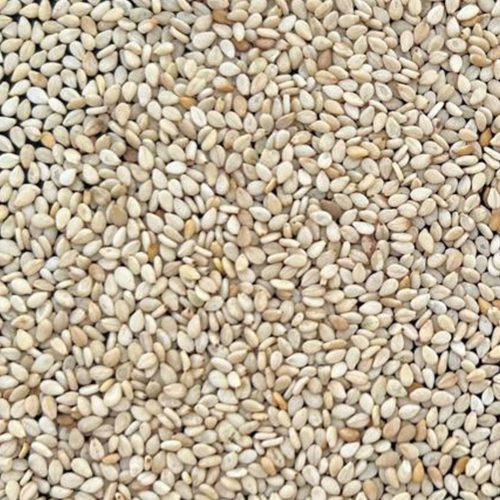 Sesame Seeds