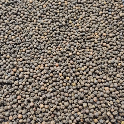 Brazilian Black Pepper Asta 580G/L.