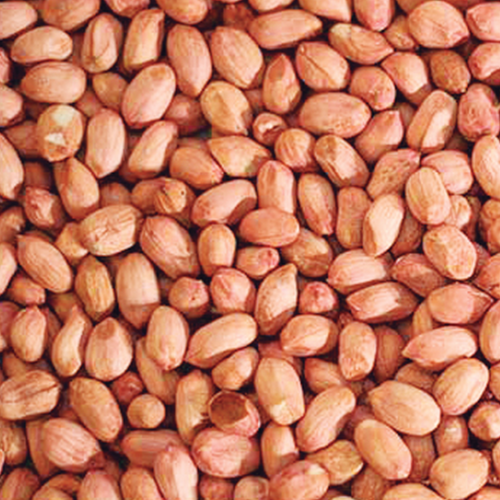 WHOLE RAW PEANUTS