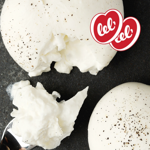 Buratta