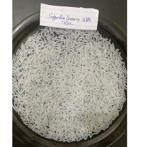 Basmati & Non Basmati Rice