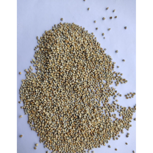 Green Millet