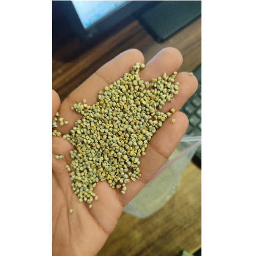 Green Millet