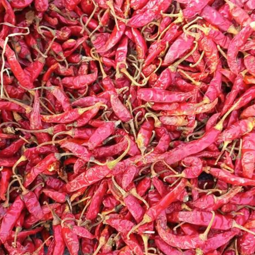 Indian Spices