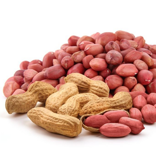 Peanut Kernels and Groundnut Inshell