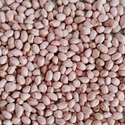 Peanut Kernels and Groundnut Inshell