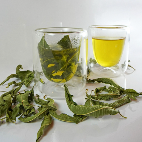 VERBENA