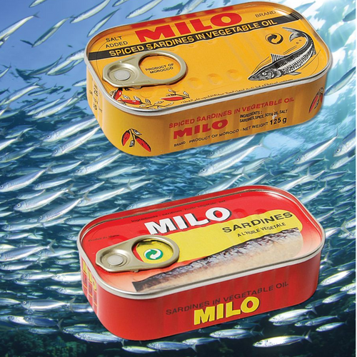 CANNED SARDINES