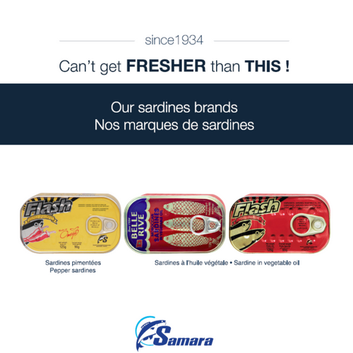 CANNED SARDINES