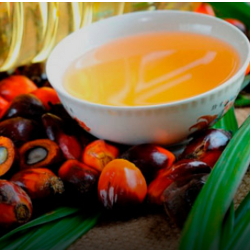 RBD Palm Oil