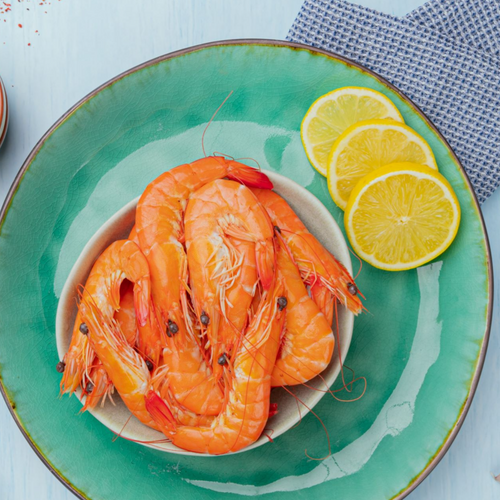 Shrimp