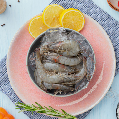 Shrimp