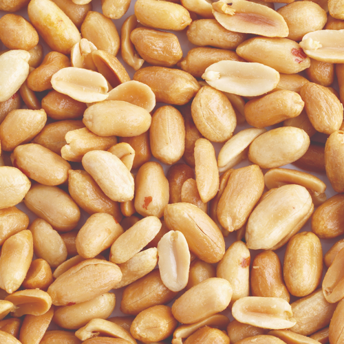 ROASTED PEANUTS SPLITS