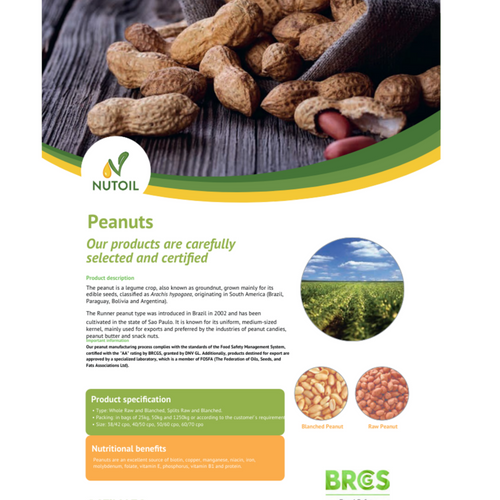 PEANUTS / GROUNDNUTS / MANI / CACAHUETE