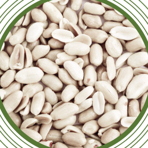 PEANUTS / GROUNDNUTS / MANI / CACAHUETE