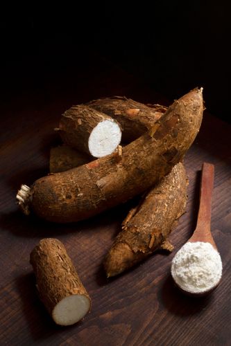 CASSAVA PRODUCTS PROFILE