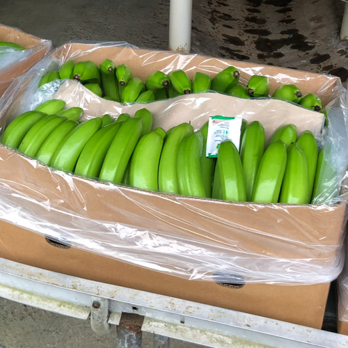 Bananas