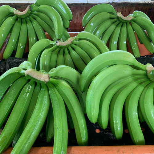 Bananas