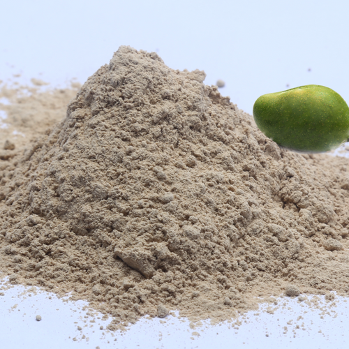 Dehydrated Amchur(Dry Mango) Powder/Flakes