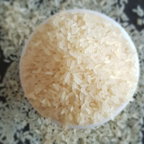 All Varieties of Non Basmati and Organic Rice