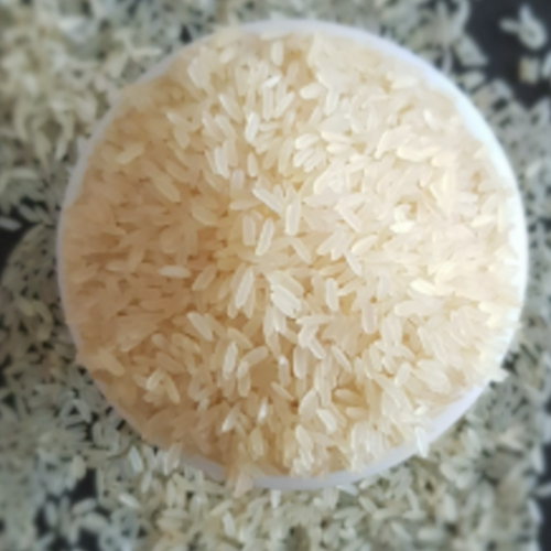 All Varieties of Non Basmati and Organic Rice