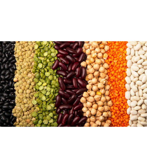 Chickpea and Pulses